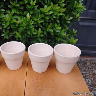 Chậu đất nung trắng ly 5 trắng - hàng bao bể