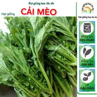 - hạt giống rau cải mèo cao sản f1 siêu dễ trồng, dễ chăm sóc.