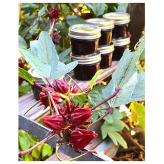 Mứt atiso đỏ mịn ( hibiscus jam) chua ngọt vị thanh nhẹ ít đường hoàn toàn tự nhiên.