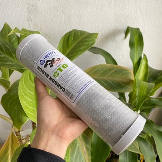 Lõi lọc CTO 10 inch (lõi lọc số 3)