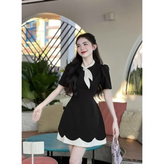 Đầm suông nữ chữ A chất tuyết mưa phối trắng cổ phối trắng kèm ảnh thật