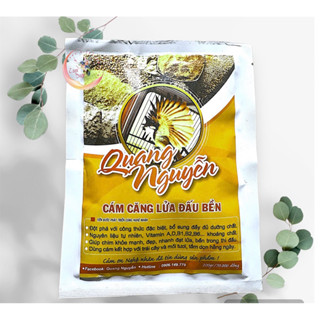 Cám Chào Mào Quang Nguyễn Giúp Chim Căng Lửa Đấu Bền - Thức Ăn Chim Chào Mào Cao Cấp 200gr