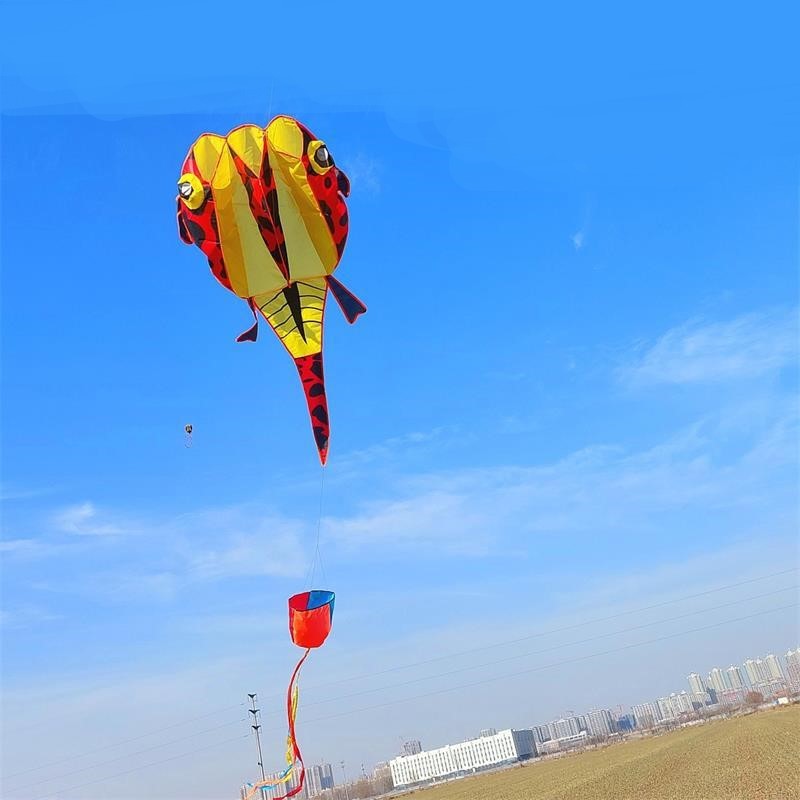 Diều Bay Không Khung Khí Động Học Hình Nòng Nọc 3D Khổng Lồ Ngoài Trời Đồ chơi trẻ em