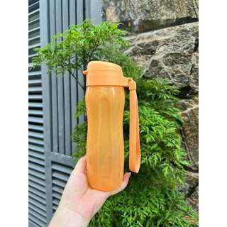 Bình Nước Eco Bottle Gen II 500ml - Tupperware
