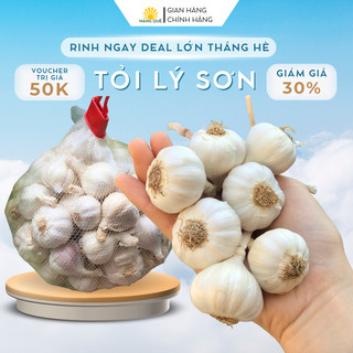 Tỏi Lý Sơn củ to, nhiều tép Lý Sơn, Quảng Ngãi 100%