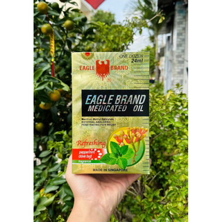 DẦU Ó VÀNG SINGAPORE - NỤ ĐINH HƯƠNG 24ml