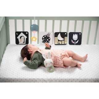 Set Đồ Chơi Cho Bé Bộ Dụng Cụ Đi Ngủ Gồm: Thẻ Thị Giác, Gặm Nướu, Bàn Chải Đánh Răng, Chăn - TAF TOYS