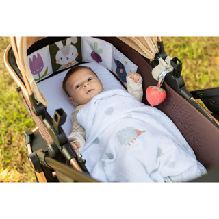 Set Đồ Chơi Ngoài Trời Bộ Dụng Cụ Cho Bé Đi Ra Ngoài Dành Cho Bé Từ 0M+ - TAF TOYS