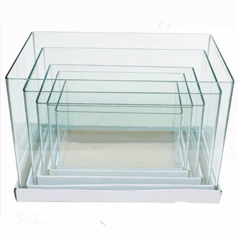 [SHIP TOÀN QUỐC] Bể kính đúc [Size 60-50-40x35x30x23x18cm]  Bể cá mini | Hồ cá thủy sinh