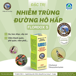 Combo trị ho + tieu chay tặng 1 ho cho chim cảnh - lão đại
