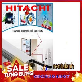 Ron cửa cho tủ lạnh hitachi model r-z660eg9x
