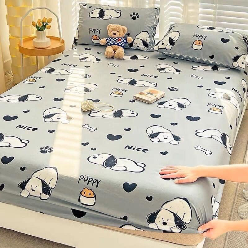 Bộ Ga Gối Cotton Poly Bọc Chun Đủ Cỡ Nệm Kèm 2 Áo Gối Nằm