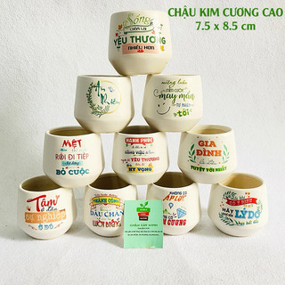 Combo 10 chậu sứ in hình trồng sen đá