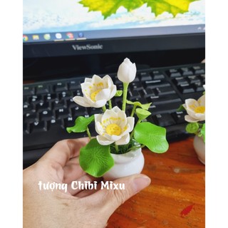 Chậu hoa sen trắng bằng đất sét Nhật