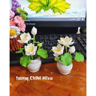 Chậu hoa sen trắng bằng đất sét Nhật