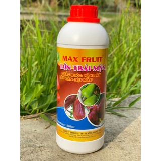 Phân bón lớn trái mận max fruit chai 1 lít - trái nặng cân, đẹp màu, chắc ruột