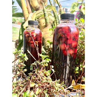  Siro Dâu Tây Đà Lạt dâu tây ngâm đường nước cốt dâu tây chai 1 lít 