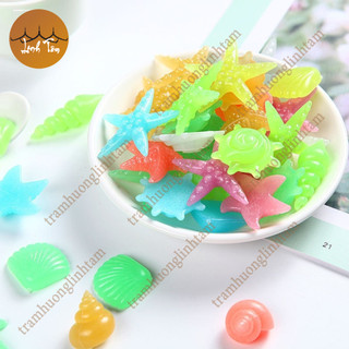 Sinh vật biển dạ quang phát sáng trong đêm sỏi dạ quang