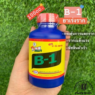 B1 thái nhập khẩu