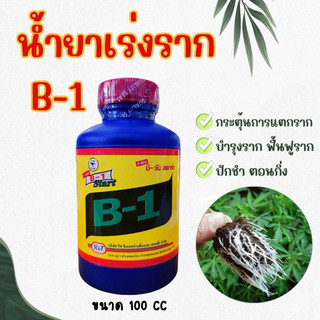 B1 Thái Nhập Khẩu