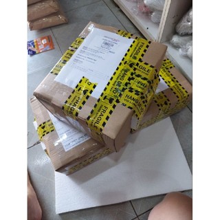 Ảnh Bác Hồ + Bác Giáp 25cm