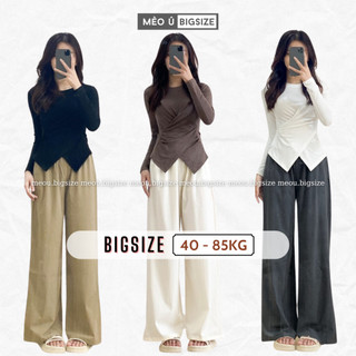  Áo thun nữ BIGSIZE áo thun cổ tròn vạt chéo dài tay 3113 