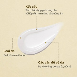 Tinh Chất Dưỡng Môi Torriden Solid In Ceramide Lip Essence 11ml