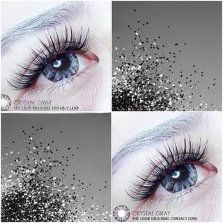HCM lens XÁM TÂY CÔ DÂU có sẵn ĐỘ lens cận màu kính áp tròng màu cận chính hãng Hàn Quốc CYRTAL GRAY