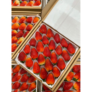 [Giao Nhanh 2h] Dâu Mỹ Montery Trồng Tại Đà Lạt - Hộp 500gr - Tặng Kèm Muối Xí Muội size 25