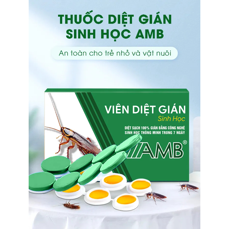 Thuốc diệt gián sinh học AMB,Viện Hàn lâm khoa học Việt Nam,diệt các loại gián,an toàn và hiệu quả.
