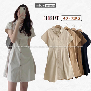 Đầm váy nữ bigsize cổ sơ mi cài cúc chiết eo lưng chun nhiều màu xinh hết nấc váy nữ bigsize 5915