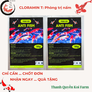 CLORAMIN T - Thuốc chữa nấm mang các loại cá Koi, cá cảnh Anti Fish 3
