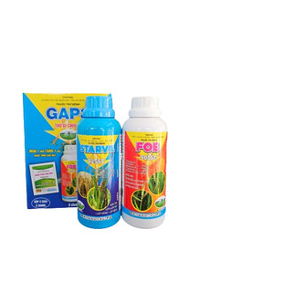 𝐆𝐀𝐏𝟑 - Cặp đôi trừ bệnh (6 loại bệnh GAP 3)