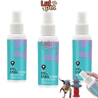 Xịt huấn luyện vệ sinh đúng chỗ cho chó mèo Dorrikey (120ml) - lutpet