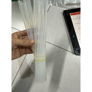 10 Cây Keo Nến Trong 20Cm