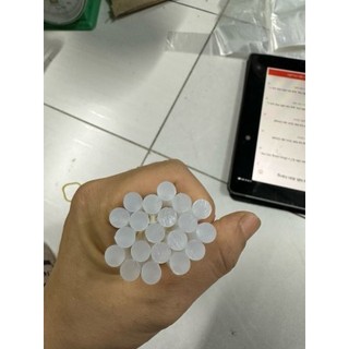10 Cây Keo Nến Trong 20Cm