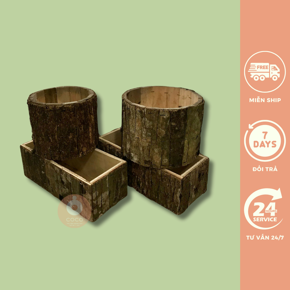 Hộp vỏ gỗ tròn, chữ nhật trồng lan, cắm hoa, sen đá, trồng cây, trang trí nhà cửa, chụp ảnh