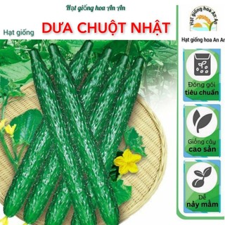 Hạt giống Dưa chuột Nhật chịu nhiệt gói 1g | Hạt giống tốt.