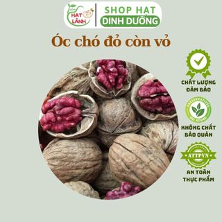 500g Quả óc chó đỏ sống còn vỏ nhập khẩu Mỹ - Tiệm Hạt Lành