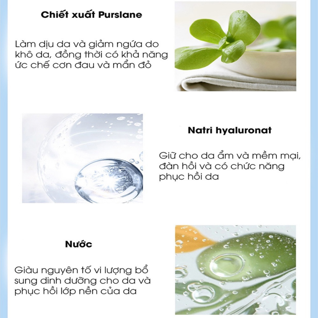 Kem Xoá Sẹo Rỗ Thảo Dược Anti - Acne, Kem Anti Acne Lành Sẹo Rỗ, Sẹo Lõm, Giúp Lấy Lại Làn Da Khoẻ Mạnh
