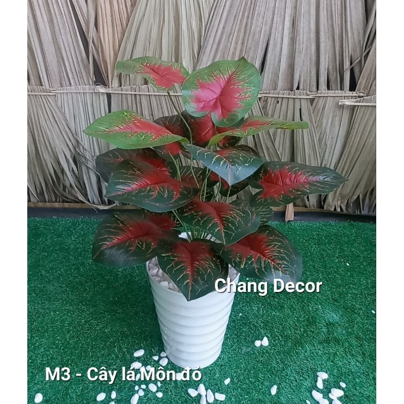 Cây giả, cây trầu bà giả, Cây Môn lá đỏ, cây môn lá nhọn, cây môn lá trắng 85cm decor trang trí nhà 