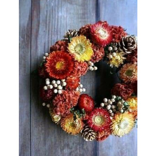 ❤️(Sỉ từ 0.5kg) Hoa Cúc Bất Tử khô trang trí decor (10 Đầu bông)❤️