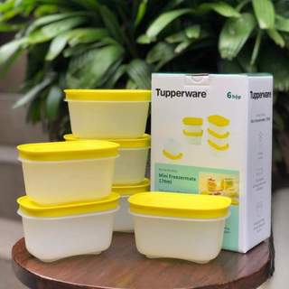 Bộ hộp trữ đông mini freezermate gen ii 170ml
