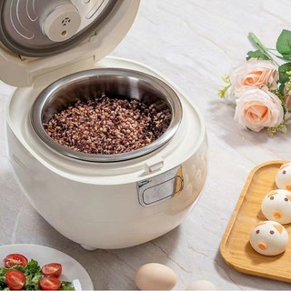 Nồi cơm điện Snapbee RC3000 pro (cơm nêu, cơm cháy giòn rụm) - dung tích 3lit