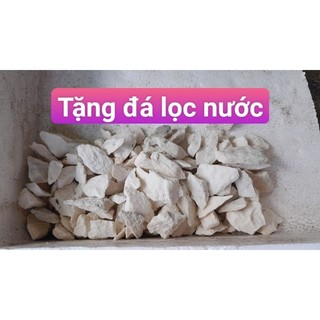 Hòn non bộ hồ cá, thác nước bể cá
