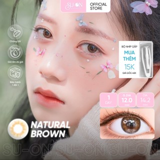 Lens 1 ngày ANN365 RICH NATURAL BROWN/GRAY áp tròng 14,2mm, tự nhiên Hàn Quốc, siêu êm đeo cả ngày