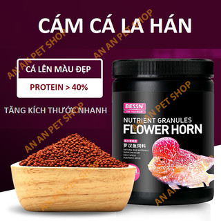 Cám cá La Hán - Thức ăn cá BESSN Flower Horn lên đầu màu châu cho cá la hán