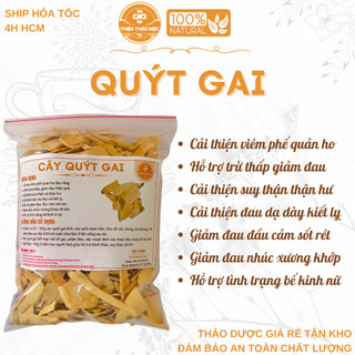500g cây quýt gai - hỗ trợ suy thận, thận yếu, thận hư, đau nhức xương khớp