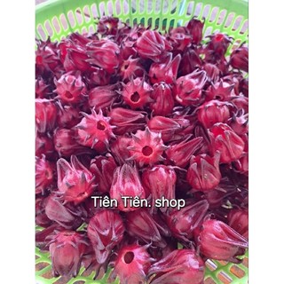 1kg Hoa tươi Atiso Đỏ nhà trồng hoàn toàn thiên nhiên