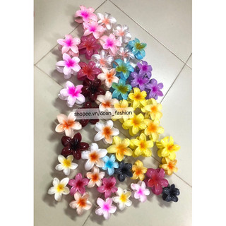 Kẹp tóc hoa sứ cực dễ thương nhiều màu sắc.